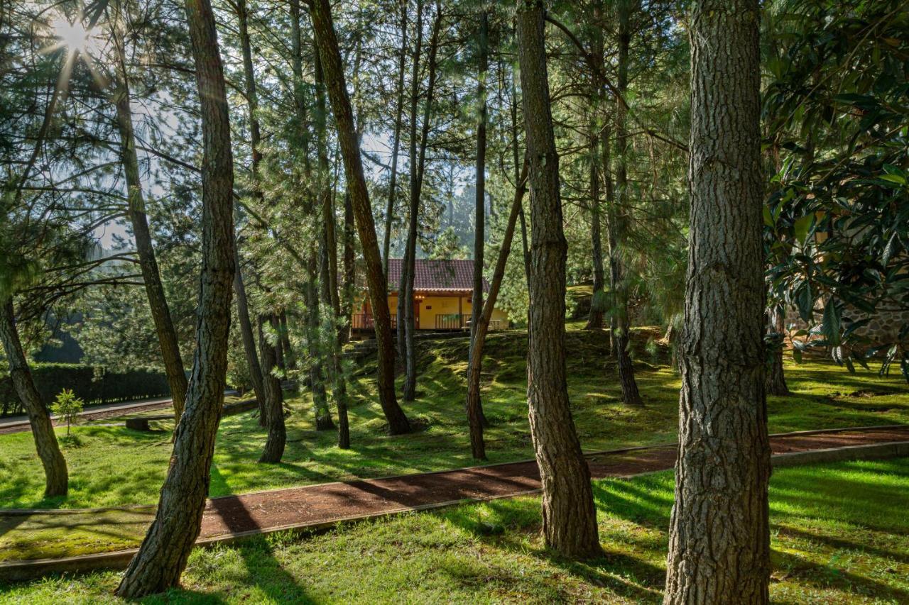 Bosque Escondido Hotel Mazamitla Luaran gambar