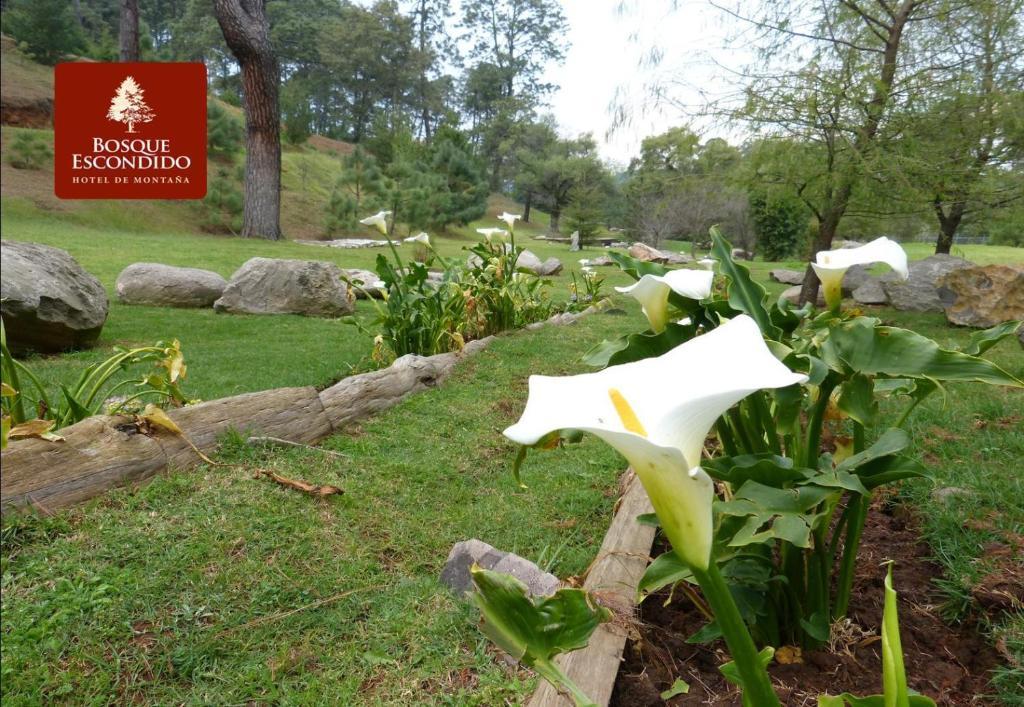 Bosque Escondido Hotel Mazamitla Luaran gambar